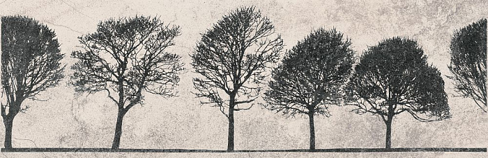 Вставка Meissen Keramik Willow Sky деревья, светло-серый WIL-WID521-14